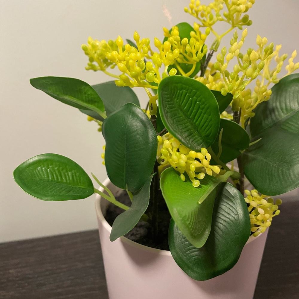 Home Decor - Picture 2 of 7